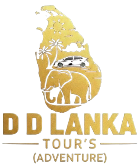 DD Lanka Tours Logo